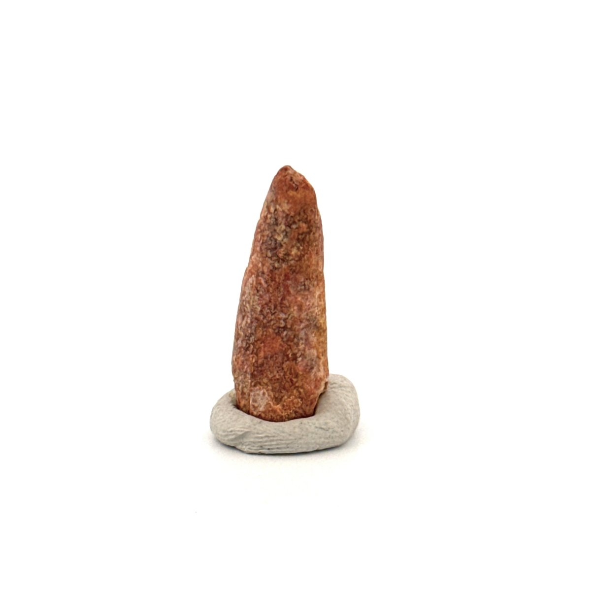 Pterosaur fossil tooth (0.97") from Cretaceous, Morocco - FossilsAndMore