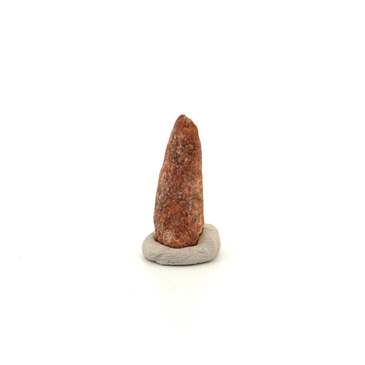 Pterosaur fossil tooth (0.97") from Cretaceous, Morocco - FossilsAndMore