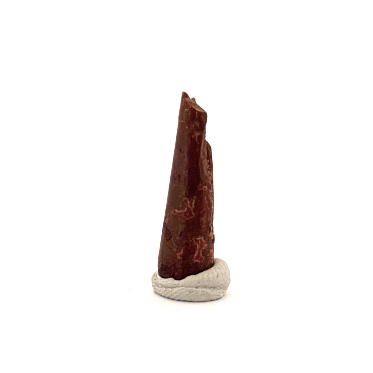 Pterosaur fossil tooth (1.04") from Cretaceous, Morocco - FossilsAndMore