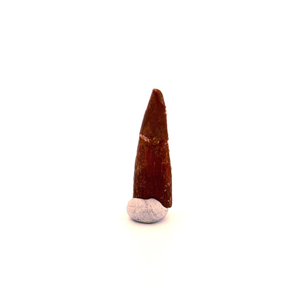 Pterosaur fossil tooth (1.05") - Late Cretaceous, Morocco - FossilsAndMore
