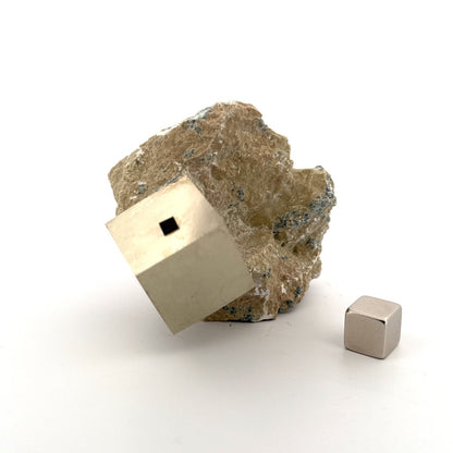 Pyrite on Matrix from Navajún a Natural Cubic Crystal (06) - FossilsAndMore