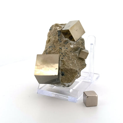 Pyrite on Matrix from Navajún a Natural Cubic Crystal (08) - FossilsAndMore