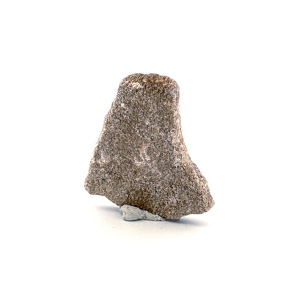 Saltasaurus Dinosaur Eggshell Fossil (1.41") from Cretaceous, Argentina - FossilsAndMore