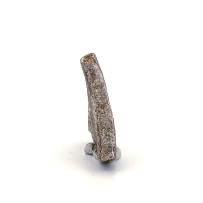 Saltasaurus Dinosaur Eggshell Fossil (1.41") from Cretaceous, Argentina - FossilsAndMore