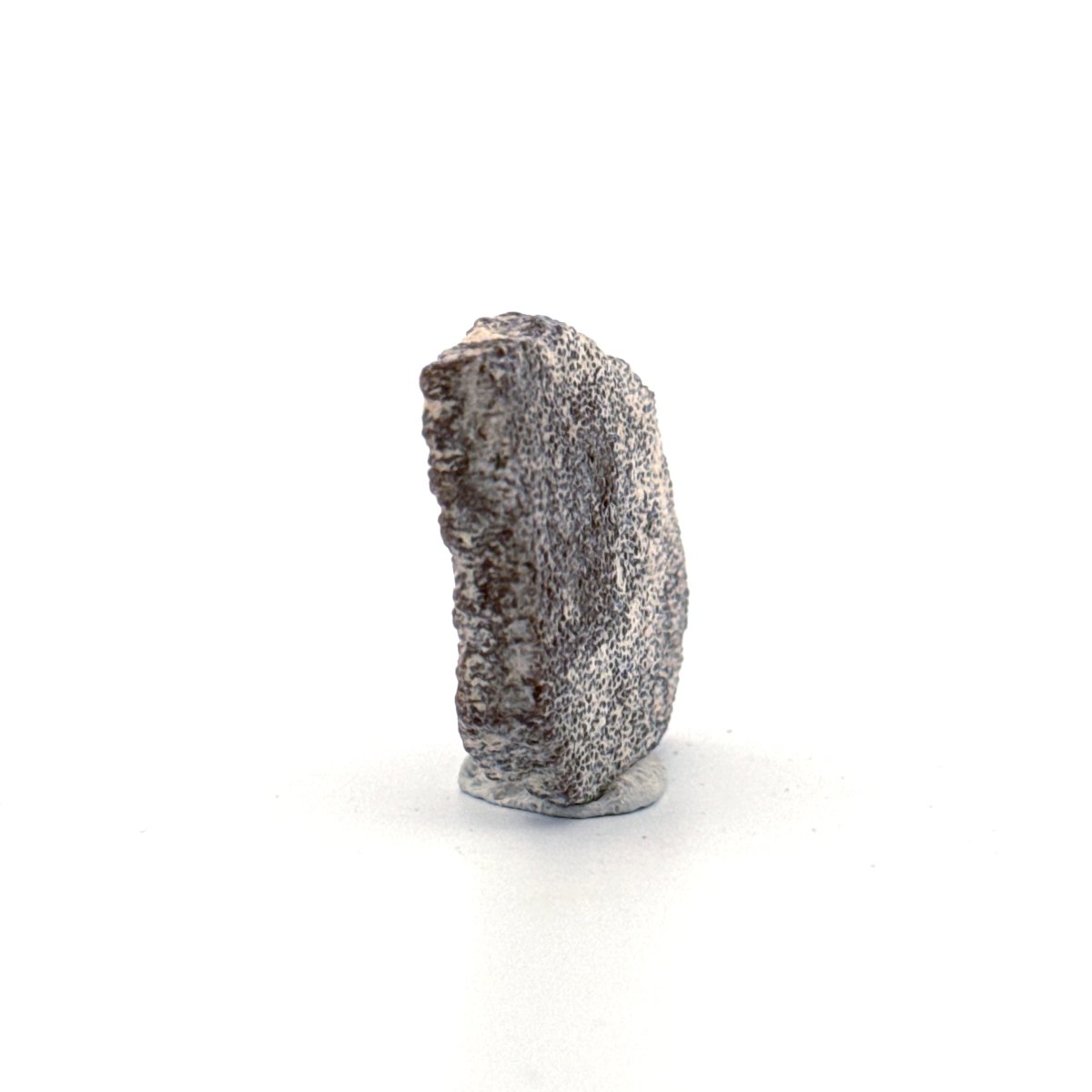 Saltasaurus Dinosaur Eggshell Fossil (1.42") from Cretaceous, Argentina - FossilsAndMore