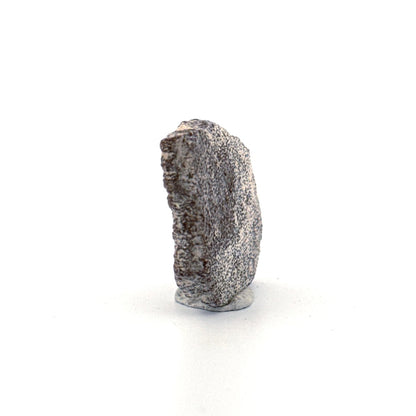 Saltasaurus Dinosaur Eggshell Fossil (1.42") from Cretaceous, Argentina - FossilsAndMore