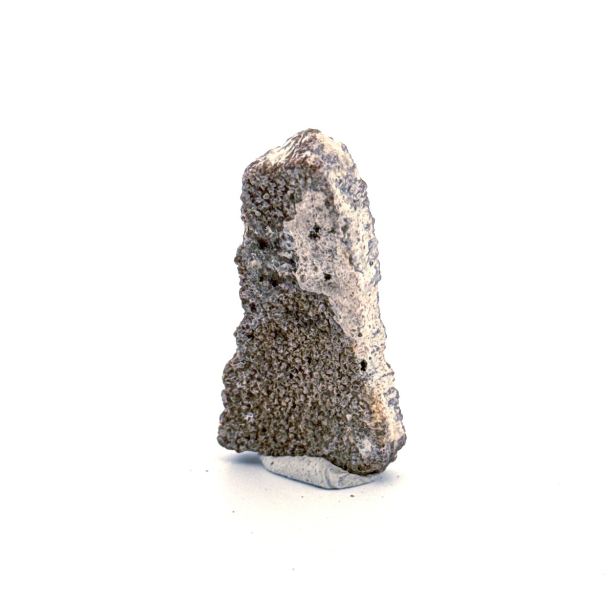 Saltasaurus Dinosaur Eggshell Fossil (1.47") from Cretaceous, Argentina - FossilsAndMore