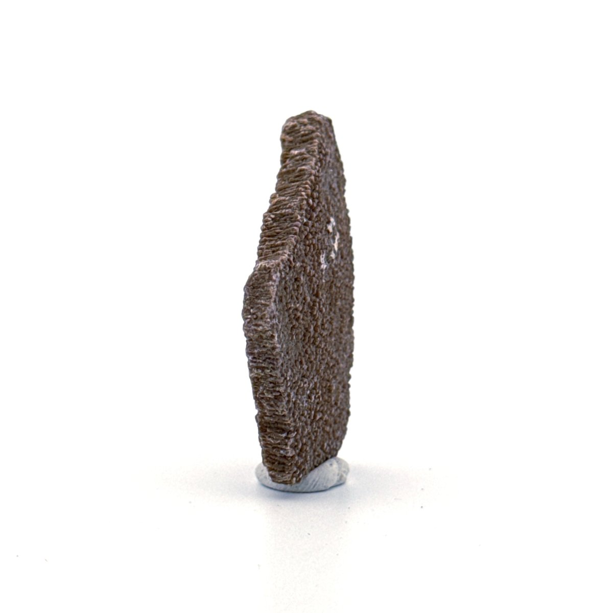 Saltasaurus Dinosaur Eggshell Fossil (1.59") from Cretaceous, Argentina - FossilsAndMore
