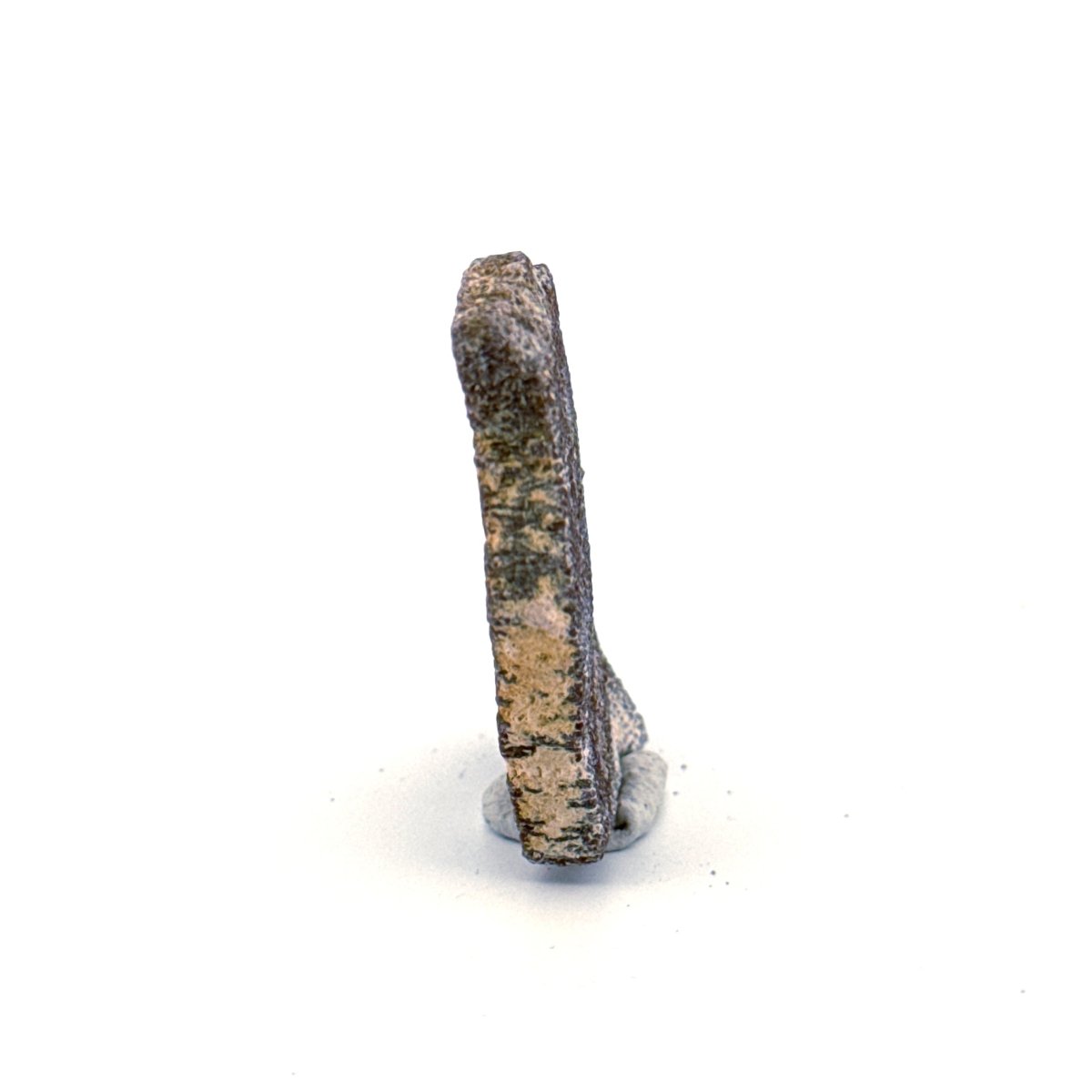 Saltasaurus Dinosaur Eggshell Fossil (1.66") from Cretaceous, Argentina - FossilsAndMore