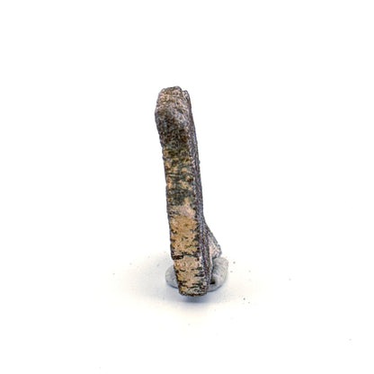 Saltasaurus Dinosaur Eggshell Fossil (1.66") from Cretaceous, Argentina - FossilsAndMore
