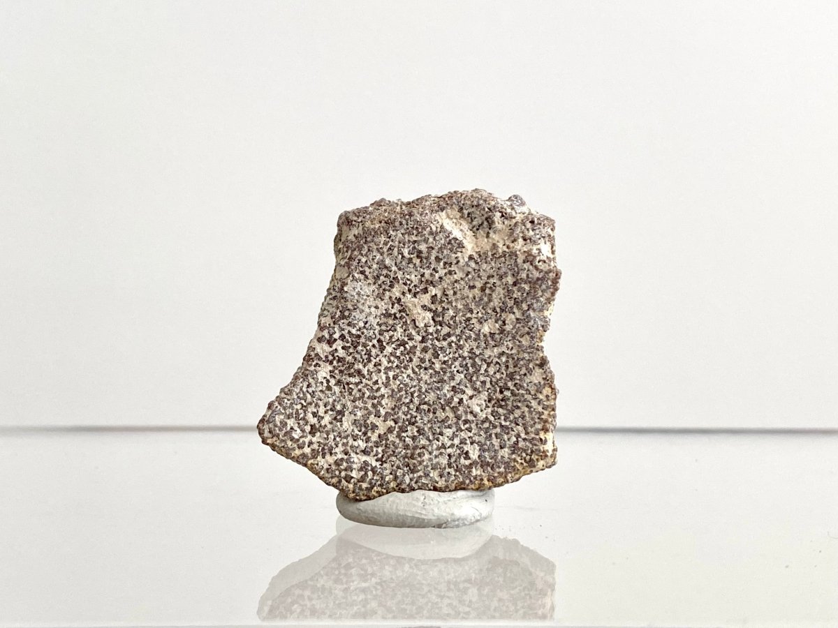 Saltasaurus Species, Dinosaur eggshell fossil (1.26") - FossilsAndMore