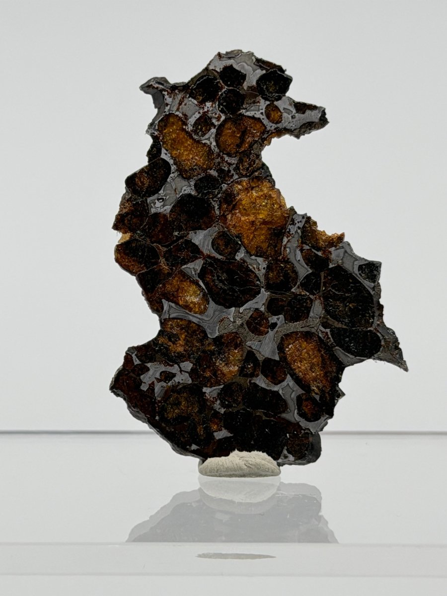 Sericho Pallasite Meteorite from Kenya | 12,5 Grams - FossilsAndMore