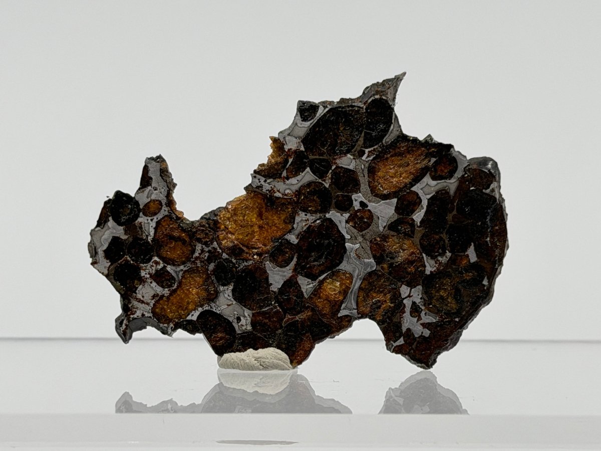 Sericho Pallasite Meteorite from Kenya | 12,5 Grams - FossilsAndMore