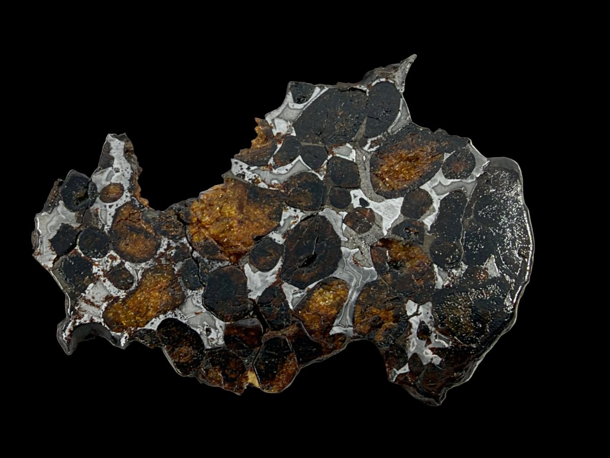 Sericho Pallasite Meteorite from Kenya | 12,5 Grams - FossilsAndMore