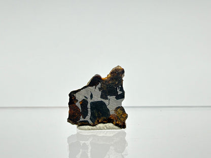 Seymchan Pallasite Meteorite from Russia | 0.88 Grams - FossilsAndMore