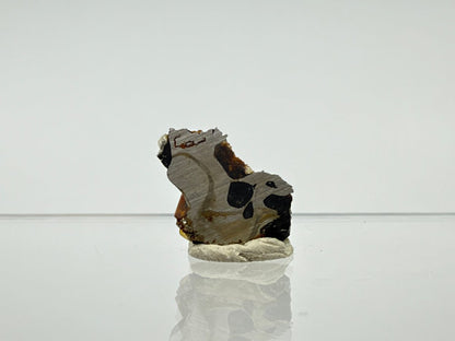 Seymchan Pallasite Meteorite from Russia | 1.26 Grams - FossilsAndMore