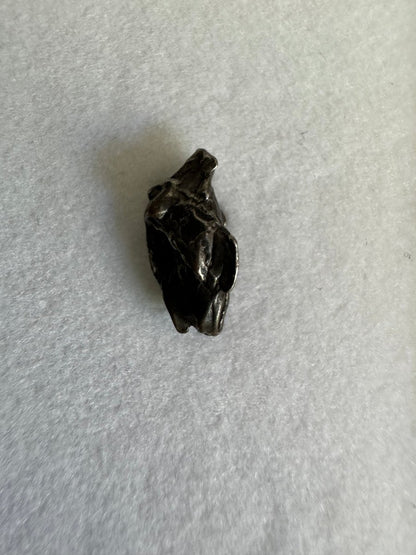 Small Campo del Cielo Meteorite fragment from Argentina - FossilsAndMore