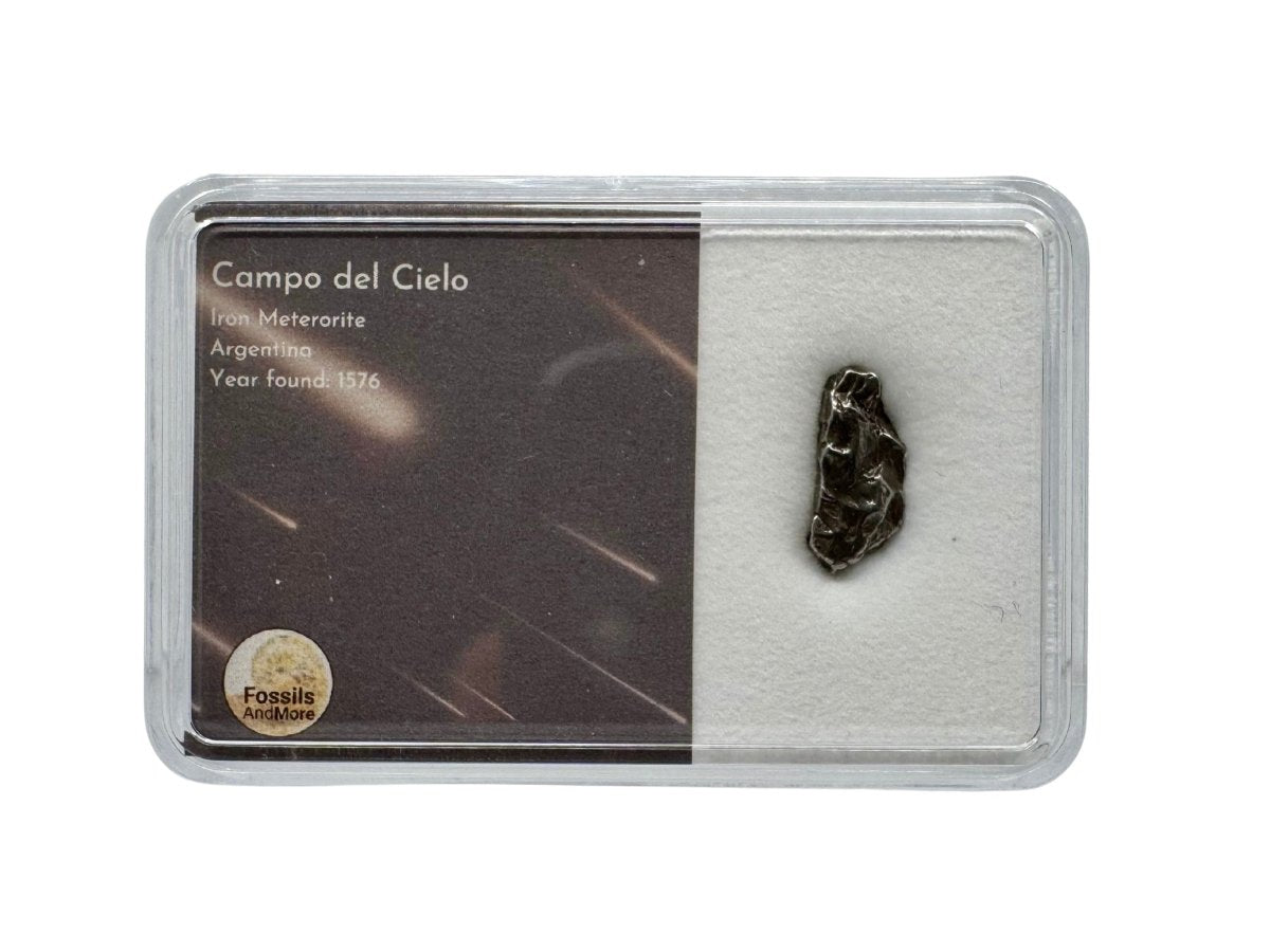 Small Campo del Cielo Meteorite fragment from Argentina in Gift Box - FossilsAndMore