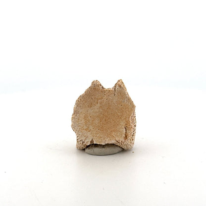 Small Mosasaur caudal vertebra from Late Cretaceous, Morocco (1.24") - FossilsAndMore