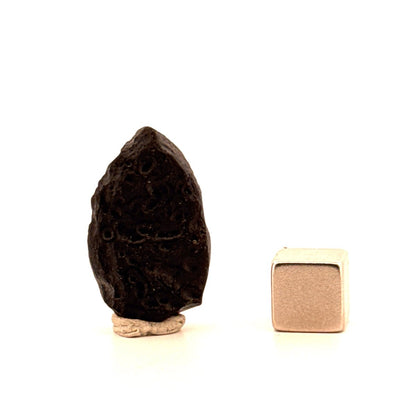 Tektite formed by a meteorite impact from Laos | 4 Grams - FossilsAndMore