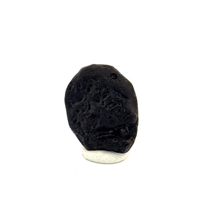 Tektite formed by a meteorite impact - Laos - FossilsAndMore