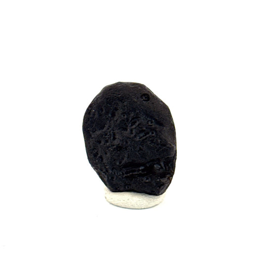 Tektite formed by a meteorite impact - Laos - FossilsAndMore