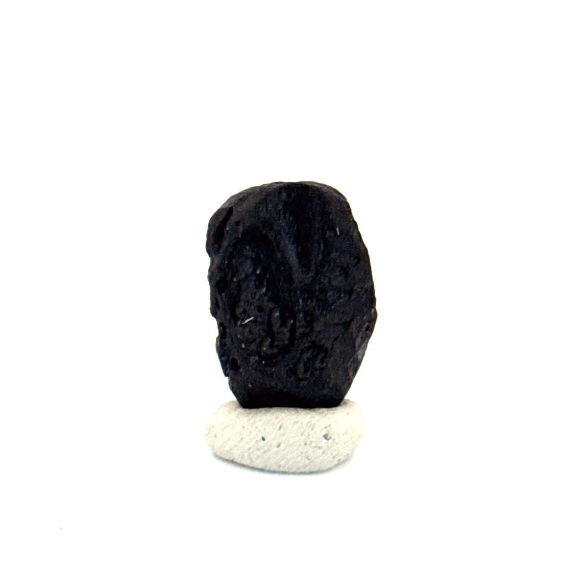 Tektite formed by a meteorite impact - Laos - FossilsAndMore