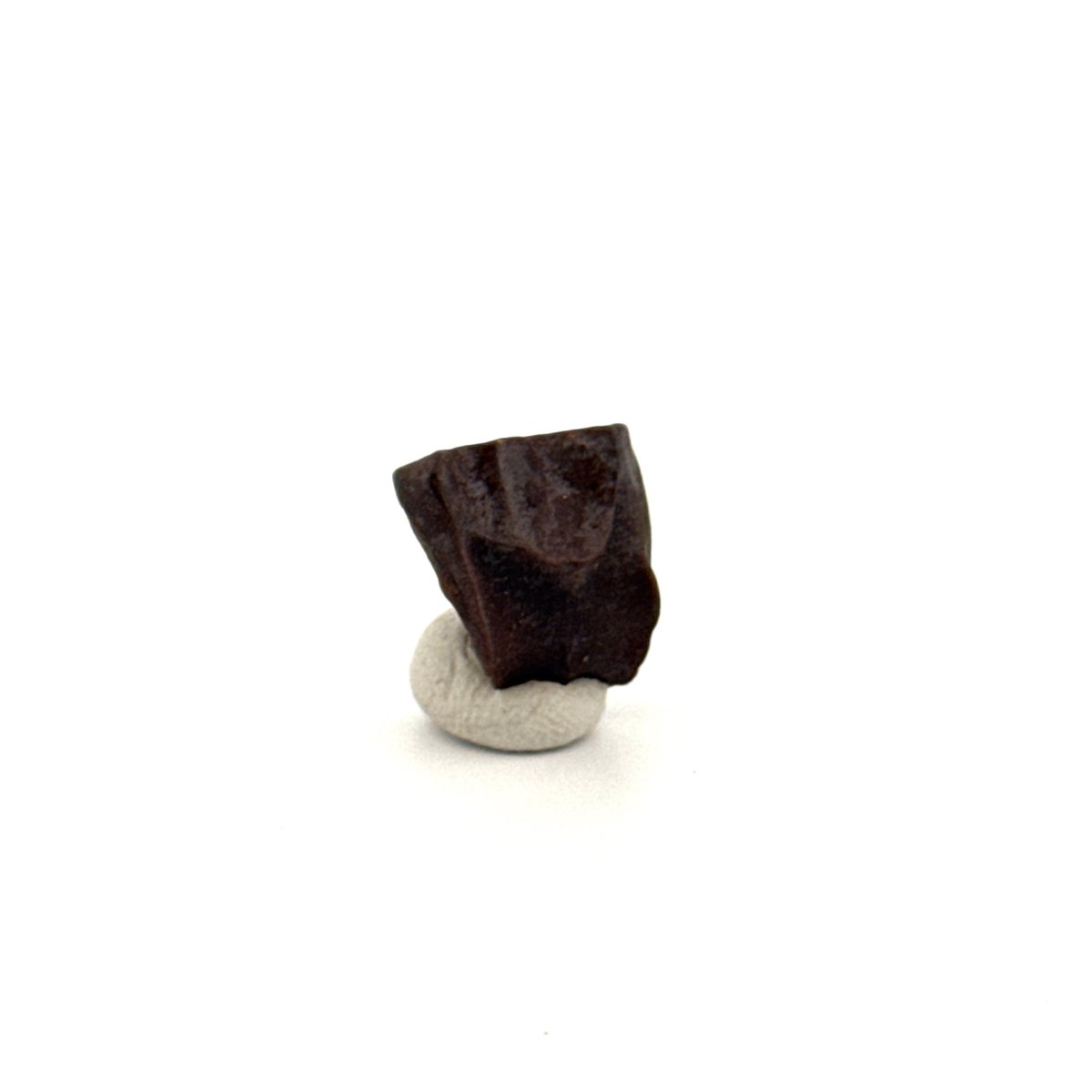 Triceratops Fossil Spitter Tooth Fragment (0.50") - Cretaceous, Hell Creek Formation (USA) - FossilsAndMore