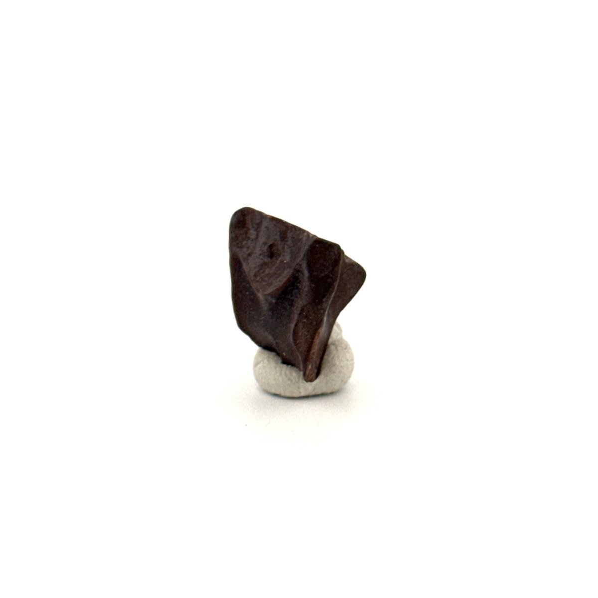 Triceratops Fossil Spitter Tooth Fragment (0.50") - Cretaceous, Hell Creek Formation (USA) - FossilsAndMore