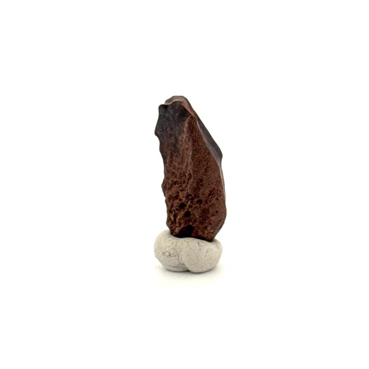 Triceratops Fossil Spitter Tooth Fragment (0.90") - Cretaceous, Hell Creek Formation (USA) - FossilsAndMore