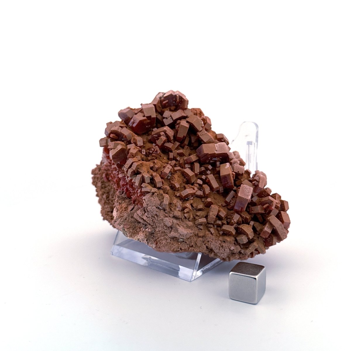 Vanadinite mineral cluster (255 Grams) from Mibladen, Morocco - FossilsAndMore