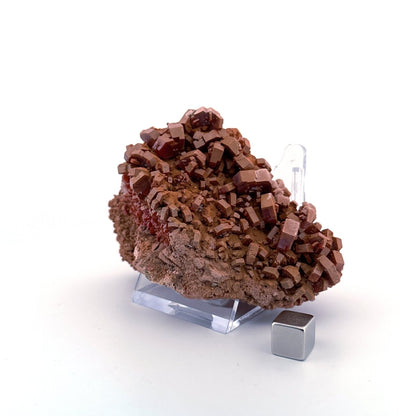 Vanadinite mineral cluster (255 Grams) from Mibladen, Morocco - FossilsAndMore